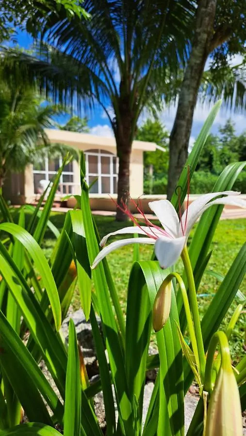 Holiday home Casita Del Arco El Cedral Cozumel Villa